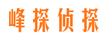 桑日市调查公司